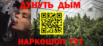 стафф Гай