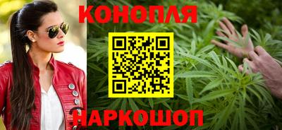 стафф Гай