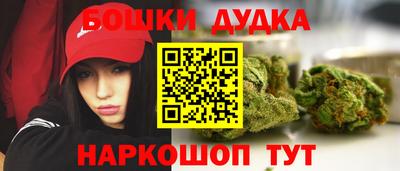 стафф Гай