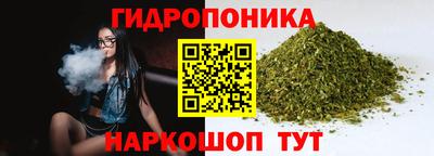 стафф Гай