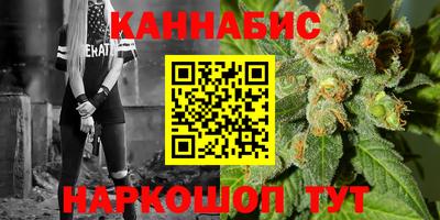 стафф Гай
