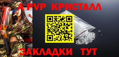 стафф Гай