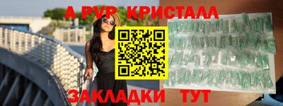 стафф Гай