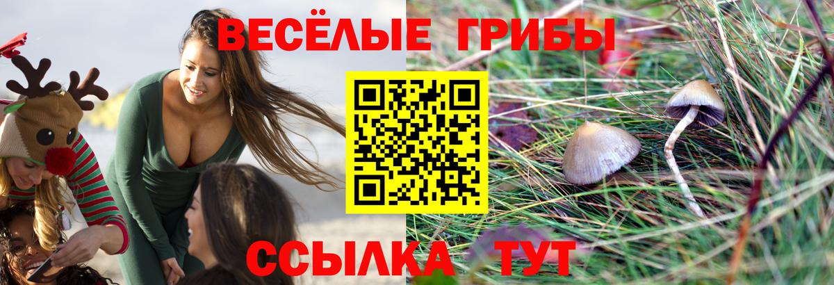 Псилоцибиновые грибы ЛСД  Псилоцибиновые грибы MAGIC MUSHROOMS  Вход с VPN  Шелехов 