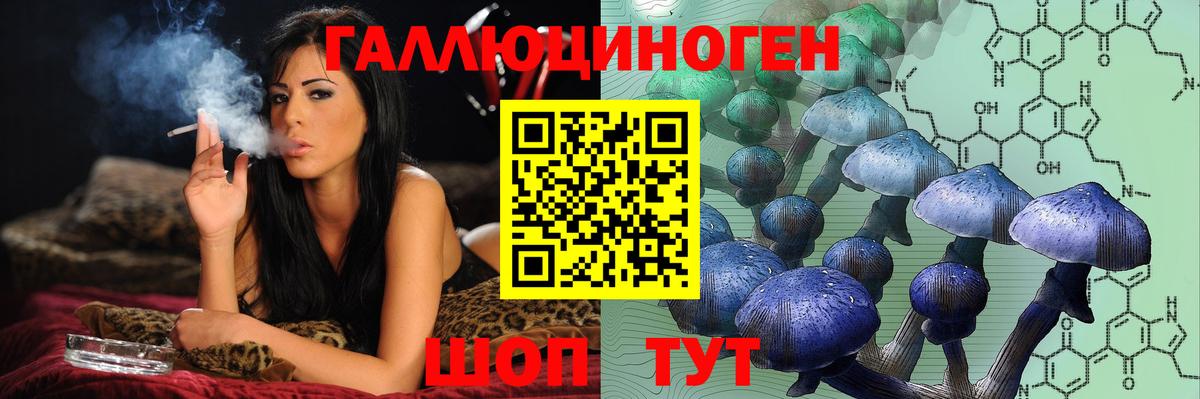Псилоцибиновые грибы Psilocybine cubensis Шелехов